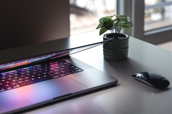 Webshoplisten dk din ultimative guide til webshops i danmark