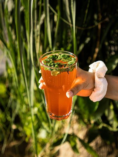 Guide til valg af det rette drikkeglas