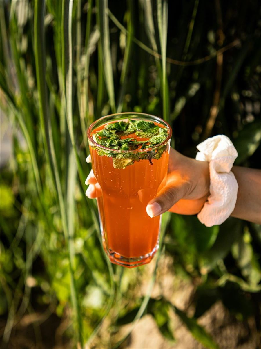 Guide til valg af det rette drikkeglas